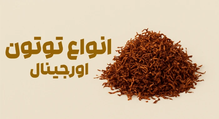 توتون - توتونچی
